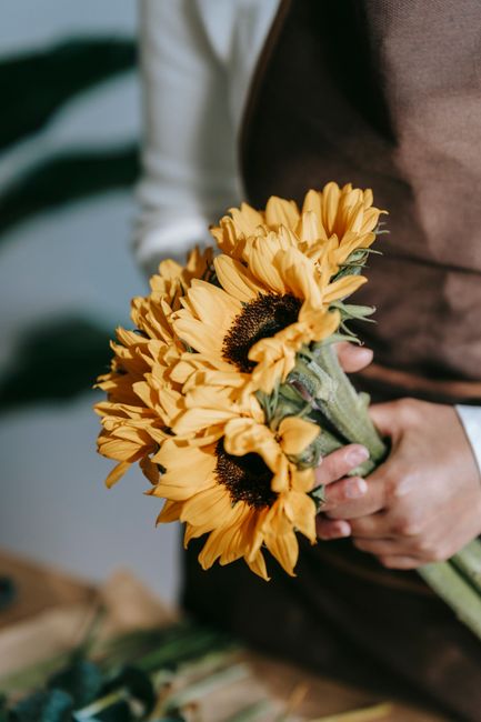 A person holding a vibrant bouquet of fresh sunflowers with bright yellow petals and dark brown centers, wrapped in light green floral paper. The arrangement emphasizes the sunflower's large, round bl